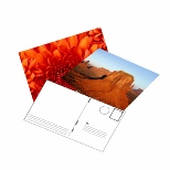 standard postcards